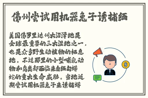 国产一级一片免费播放下载