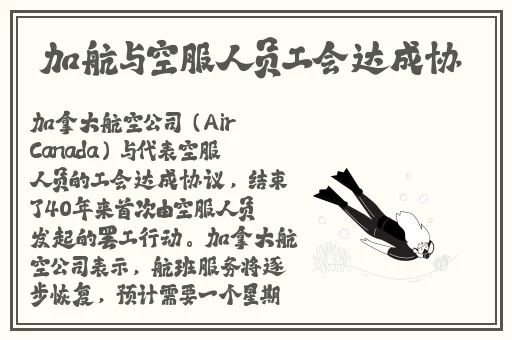 小女孩吃小男孩小叮当视频大全